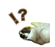 844926914