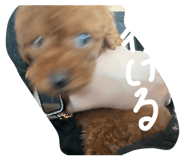 844926958