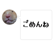 844927024