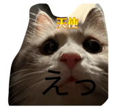 844927553