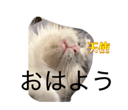 844927560