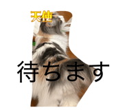 844927564