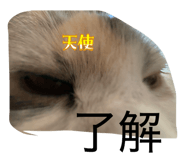 844927573