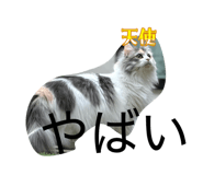 844927575