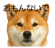 844927641