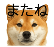 844927645