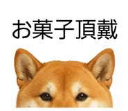 844927652
