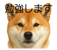 844927655