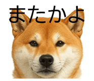 844927661