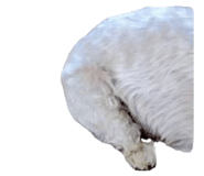 844927762