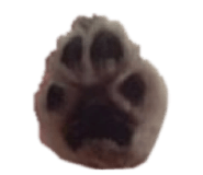 844927776