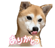 844927854