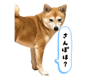 844927855