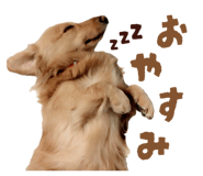 844927987