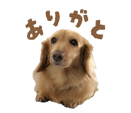844927988