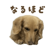 844927997