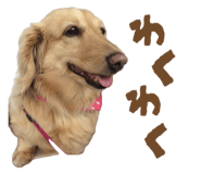 844927999