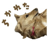 844928001