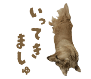 844928003