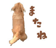 844928004