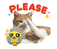 844928044