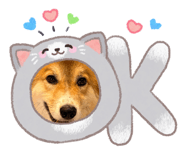 844928287