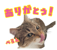 844928373