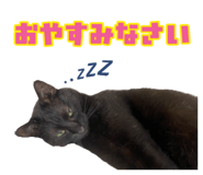 844928375