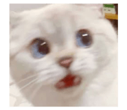 844928525