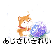 844928683