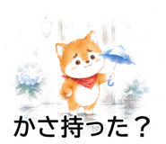 844928684