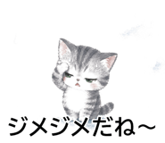 844929025