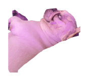844930543