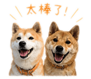844930865