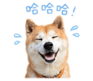 844930869