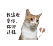 844930875