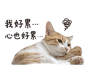 844930879