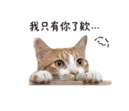 844930881
