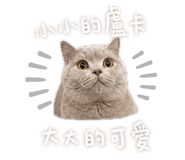 844931265