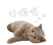 844931270