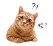 844931598