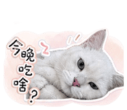 844931757