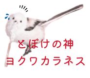 844932345