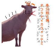 844932348