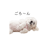 844932508