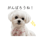 844932520