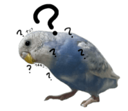 844932883
