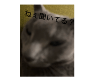 844932974