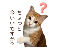 844935327