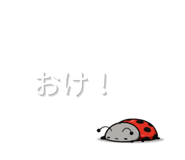 844935534